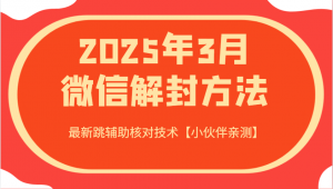 2025年3月微信解封方法 最新跳辅助核对技术【小伙伴亲测】-轻创网