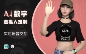 Ai数字人虚拟(智能体)实时语音交互特训营,自行定制超写实角色AI数字人交互技术-轻创网