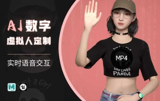 Ai数字人虚拟(智能体)实时语音交互特训营，​自行定制超写实角色AI数字人交互技术-轻创网