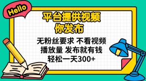 平台提供视频 你发布 无粉丝要求 不看视频播放量 发布就有钱 轻松一天300+-轻创网