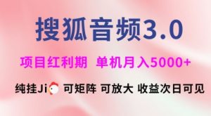 搜狐音频挂ji3.0.可矩阵可放大,独家技术,稳定月入5000+【揭秘】-轻创网