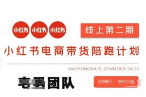 小红书电商带货课2期，月利润20个的小红书电商的有货源，无货源，虚拟产品，付费投流等整套玩法-轻创网