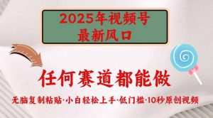 2025年视频号新风口，低门槛只需要无脑执行-轻创网