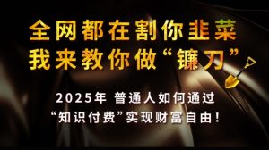 全网都在割你韭菜，我来教你做镰刀,2025普通人如何通过知识付费，实现财F自由【揭秘】-轻创网