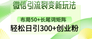 微信引流裂变新玩法：布局50+长尾词矩阵，轻松日引300+创业粉-轻创网