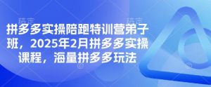 拼多多实操陪跑特训营弟子班,2025年2月拼多多实操课程,海量拼多多玩法-轻创网