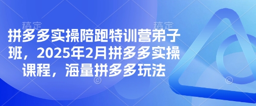 拼多多实操陪跑特训营弟子班，2025年2月拼多多实操课程，海量拼多多玩法-轻创网