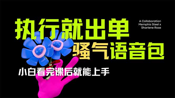 爆火全网的开车导航骚气语音包,只要执行就出单，小白看完课程就能实操…-轻创网