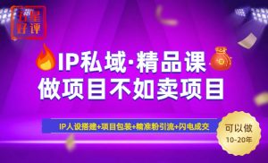 2025年“IP私域·密训精品课”,日赚3000+小白避坑年赚百万,暴力引流...-轻创网