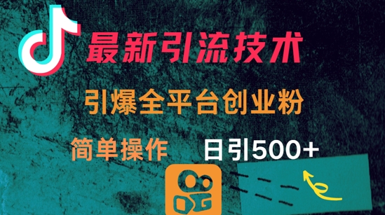 最新引流方法，引爆全平台的一个创业粉，简单操作日引300+-轻创网