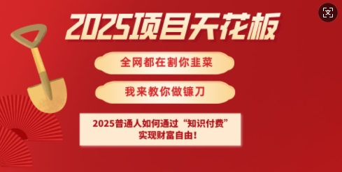 2025项目天花板普通人如何通过知识付费，实现财F自由【揭秘】-轻创网