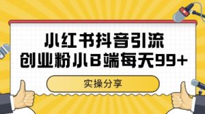 小红书抖音创业粉，小B端粉自热，日引99+的一个玩法【揭秘】-轻创网