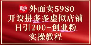 外面卖5980开设拼多多虚拟店铺：单日引流200+创业付费粉实战教程-轻创网