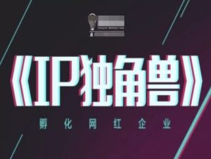 IP独角兽,孵化网红企业,ip教程-轻创网