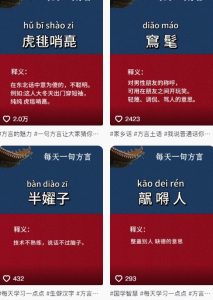 抖音最新涨粉玩法，图文方言暴力涨粉实操，126作品涨粉11W-轻创网