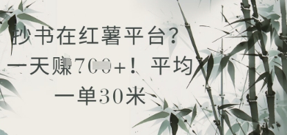 抄书在小红薯平台？平均一单30米，一天收益几张！-轻创网