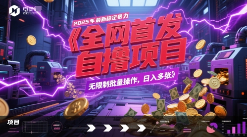 全网首发，2025年最新稳定暴力全自动自撸项目，无限制批量操作，日入多张【揭秘】-轻创网