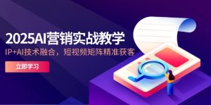 2025AI营销实战教学-5月，IP+AI技术融合，短视频矩阵精准获客-轻创网