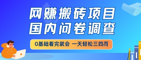 网创搬砖项目，国内问卷调查，小白轻松上手，一天三四张的也不难，干就完了【揭秘】-轻创网