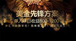 免费技术！小众赛道！一年布局抵三年努力，每日800+-轻创网