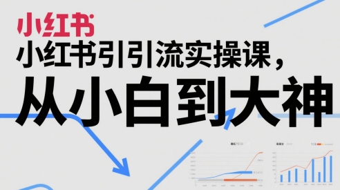 小红书引流实操课，从小白到大神-轻创网