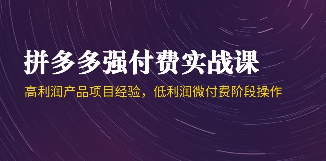 拼多多强付费实战课-44期，高利润产品项目经验，低利润微付费阶段操作-轻创网
