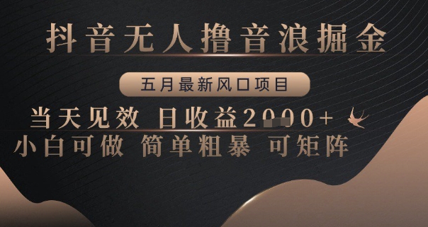 抖音无人撸音浪掘金，五月最新风口项目，当天见效，日收益多张，小白可做简单粗暴可矩阵【揭秘】-轻创网