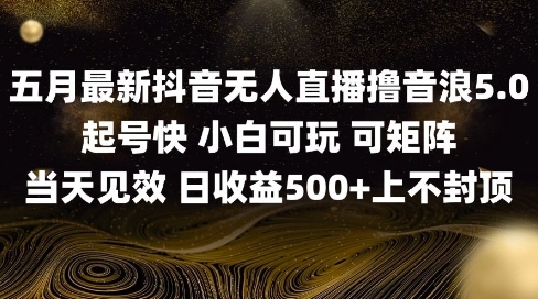 2025五月最新无人直播撸音浪单日产出5张+实操教程【揭秘】-轻创网