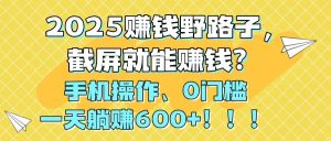 2025赚钱野路子，截屏就能赚钱？手机操作0门槛，一天躺赚600+！！！-轻创网