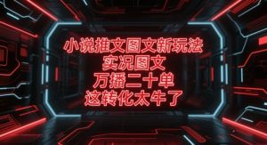 小说推文图文新玩法，实况图文，万播二十单，这转化太牛了！-轻创网