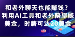 和老外聊天也能挣钱？利用AI工具和老外陪聊挣美金，时薪可达20刀-轻创网
