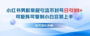 小红书男粉常规引流不封号日引99+变现简单 可矩阵可复制小白容易上手-轻创网
