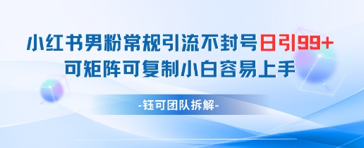 小红书男粉常规引流不封号日引99+变现简单 可矩阵可复制小白容易上手-轻创网