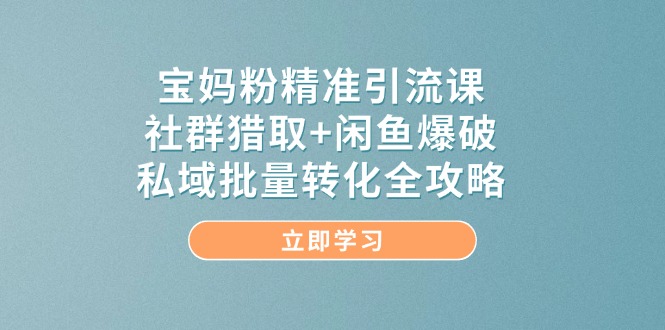 宝妈粉精准引流课，社群猎取+闲鱼爆破，私域批量转化全攻略-轻创网