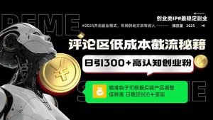 评论区低成本引流秘籍，精准钩子直击用户，单账号日增300+创业粉，日稳...-轻创网
