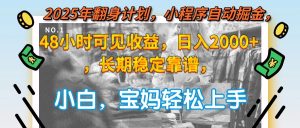 2025年翻身计划,小程序自动掘金48小时可见收益,日入2000+,长期稳定...-轻创网