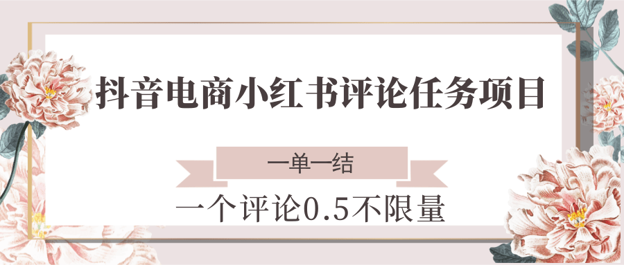 抖音电商小红书评论任务项目，一个评论0.5，一单一结 不限量-轻创网