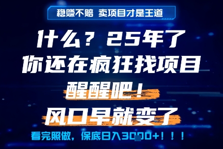 什么？25年你还在疯狂找项目做，醒醒吧，看完这些你全都懂了！【揭秘】-轻创网