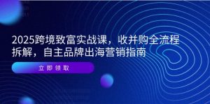 2025跨境致富实战课，收并购全流程拆解，自主品牌出海营销指南-轻创网