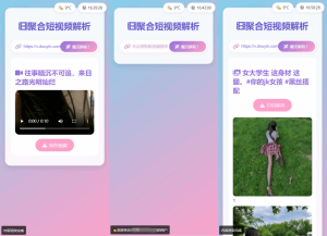 全新二次元聚合短视频解析去水印系统源码 自适应双端-轻创网