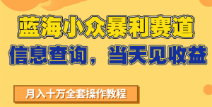 蓝海小众暴利赛道，信息查询，当天见收益，不讲玄学，7天搞了2万+-轻创网