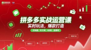 拼多多实战运营课，实时玩法，爆款打造，改销量，补大单，AB单，直播等(更新2025月)-轻创网
