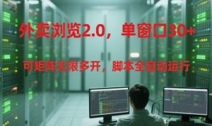 外卖浏览2.0，单窗口30+可矩阵无限多开，脚本全自动运行【揭秘】-轻创网