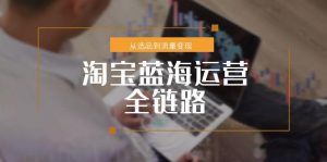淘宝蓝海运营全链路，从选品到流量变现，小类目突围完整方案-轻创网