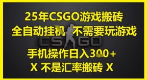 25年CSGO游戏搬砖，全自动运行，不需要玩游戏，手机操作日入3张(不是汇率搬砖)【揭秘】-轻创网