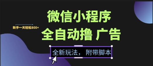 微信小程序全自动撸广告项目，彻底解决没流量的问题，新手一天8张+【揭秘】-轻创网