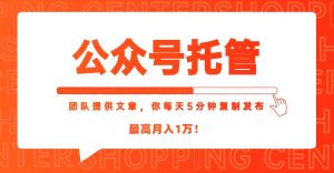 【公众号托管 】我提供文章，你每天５分钟复制发布，最高月入1W-轻创网