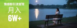 情感粉引流变现实操课：单月变现6w+，情感粉引流变现实操课-轻创网