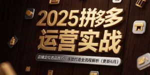 2025拼多多运营实战：店铺定位选品技巧，爆款打造全流程解析(更新6月-轻创网