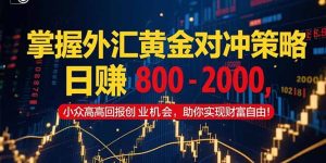 掌握外汇黄金对冲策略，日赚 800 - 2000，小众高回报创业机会，助你实...-轻创网